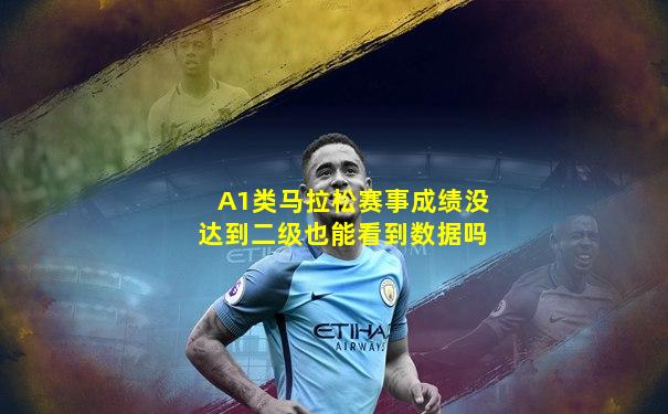 A1类马拉松赛事成绩没达到二级也能看到数据吗