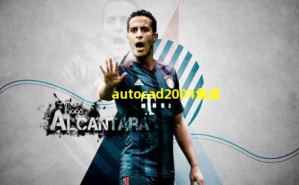 autocad2004角度