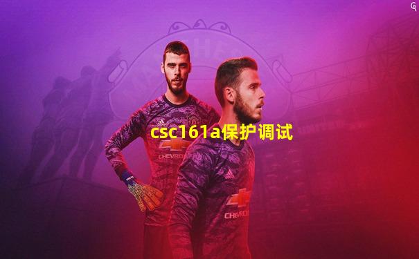 csc161a保护调试