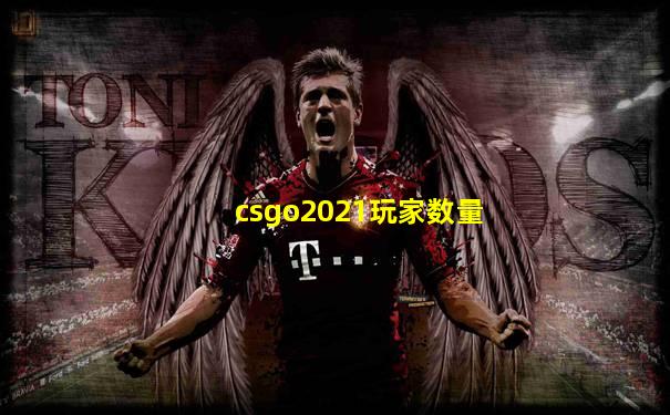 csgo2021玩家数量