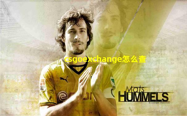 csgoexchange怎么查