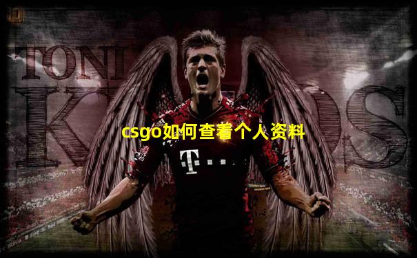 csgo如何查看个人资料
