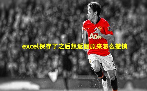 excel保存了之后想返回原来怎么撤销