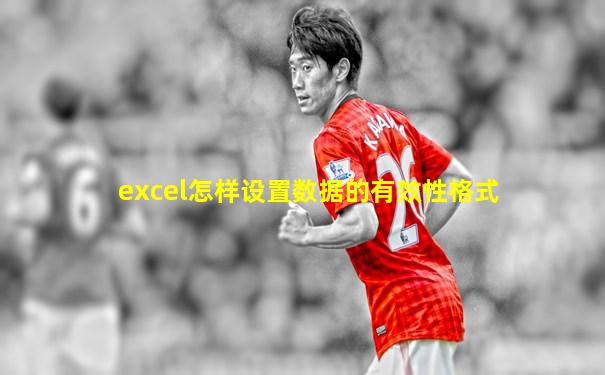 excel怎样设置数据的有效性格式