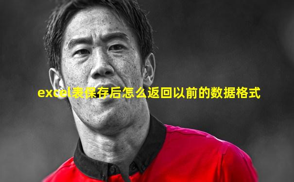 excel表保存后怎么返回以前的数据格式
