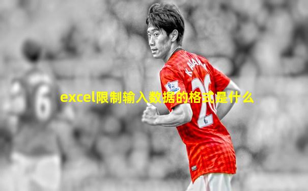 excel限制输入数据的格式是什么