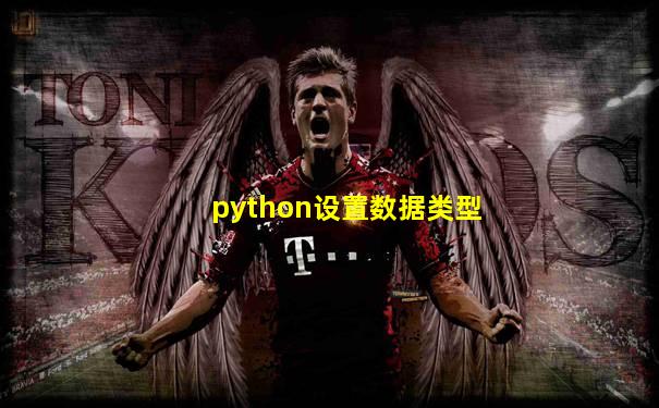 python设置数据类型