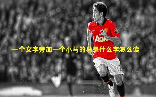 一个女字旁加一个小马的马是什么字怎么读
