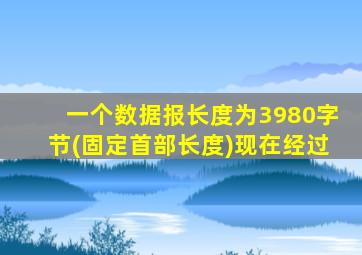 一个数据报长度为3980字节(固定首部长度)现在经过