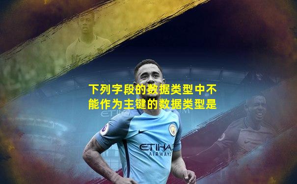 下列字段的数据类型中不能作为主键的数据类型是