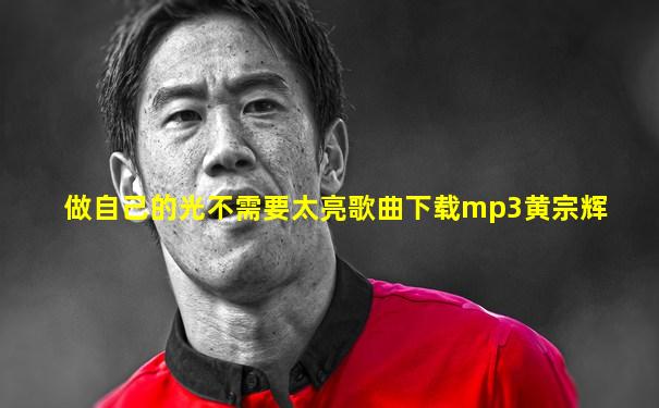 做自己的光不需要太亮歌曲下载mp3黄宗辉