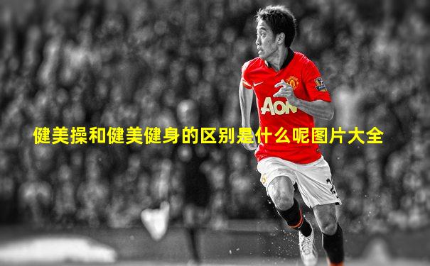 健美操和健美健身的区别是什么呢图片大全
