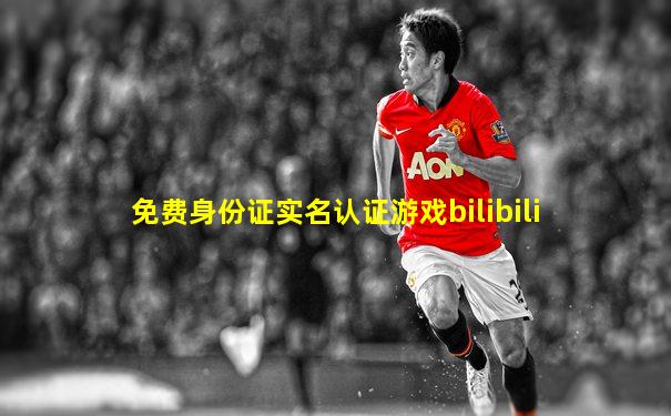 免费身份证实名认证游戏bilibili