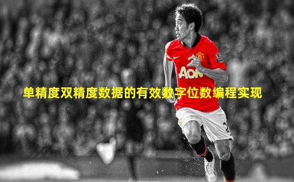 单精度双精度数据的有效数字位数编程实现