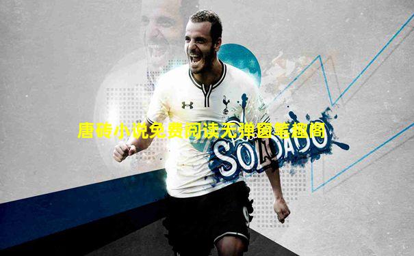 唐砖小说免费阅读无弹窗笔趣阁