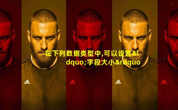 在下列数据类型中,可以设置“字段大小”属性的是