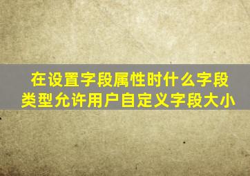 在设置字段属性时什么字段类型允许用户自定义字段大小