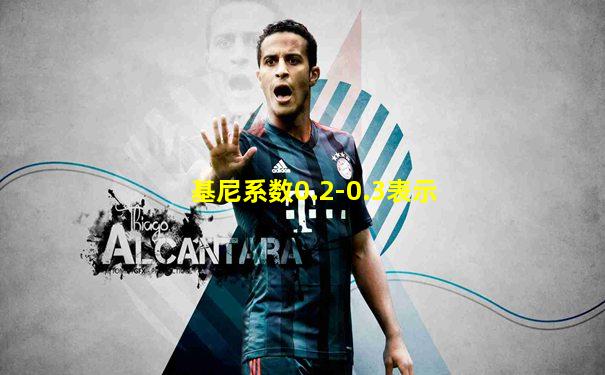 基尼系数0.2-0.3表示