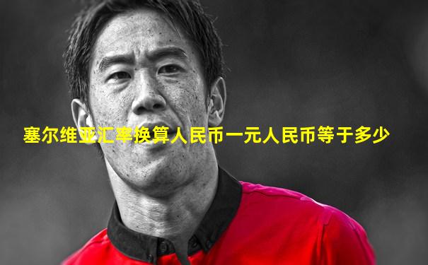 塞尔维亚汇率换算人民币一元人民币等于多少