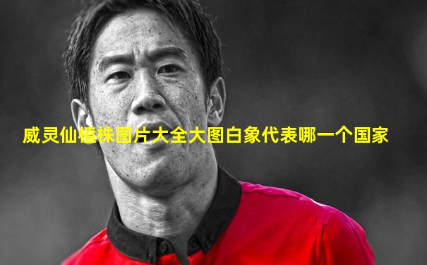 威灵仙植株图片大全大图白象代表哪一个国家