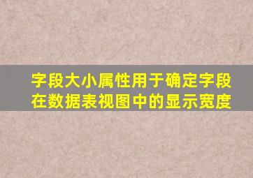 字段大小属性用于确定字段在数据表视图中的显示宽度