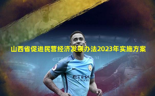 山西省促进民营经济发展办法2023年实施方案