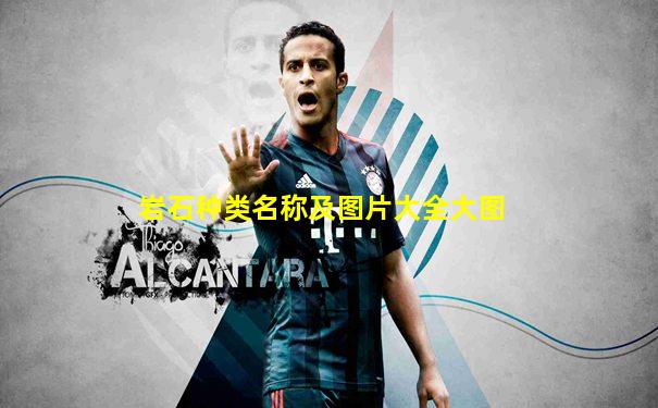 岩石种类名称及图片大全大图