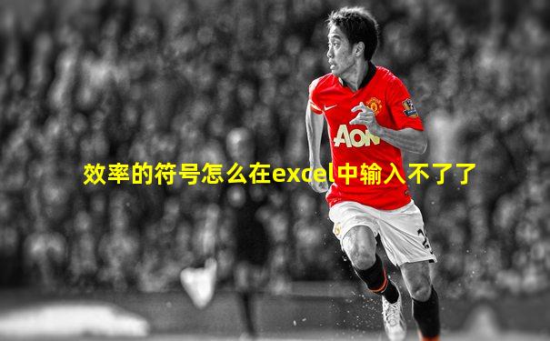效率的符号怎么在excel中输入不了了