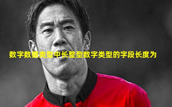 数字数据类型中长整型数字类型的字段长度为