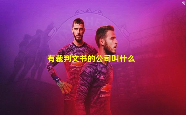 有裁判文书的公司叫什么