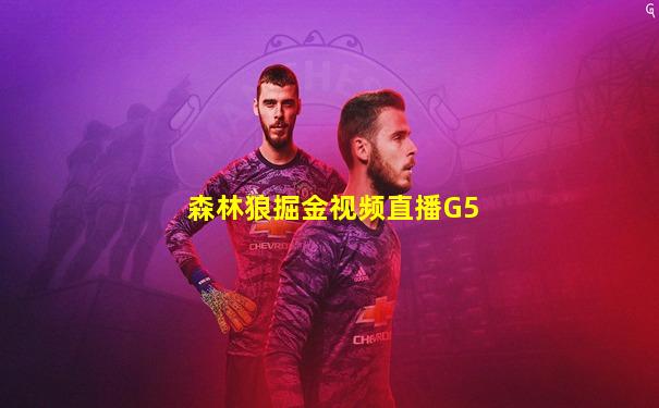 森林狼掘金视频直播G5