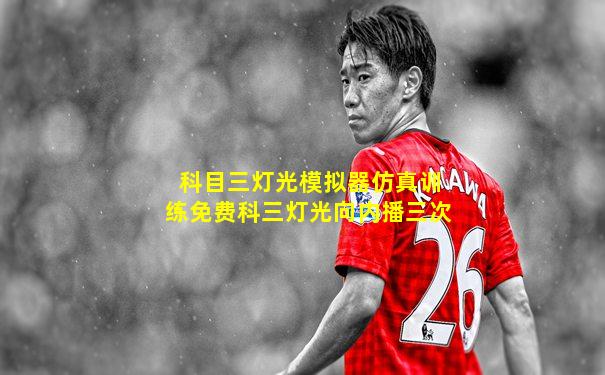 科目三灯光模拟器仿真训练免费科三灯光向内播三次