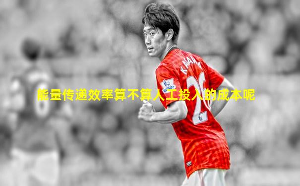 能量传递效率算不算人工投入的成本呢