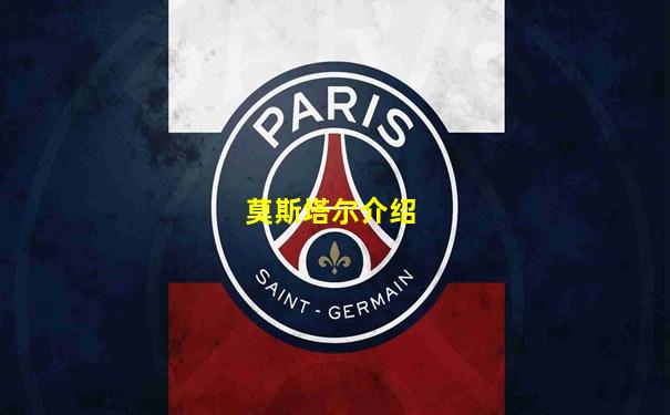 莫斯塔尔介绍
