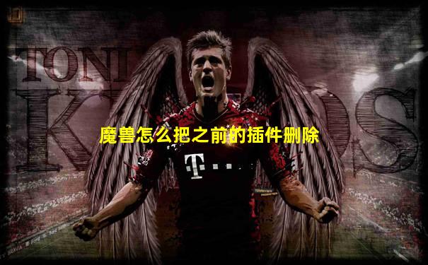魔兽怎么把之前的插件删除