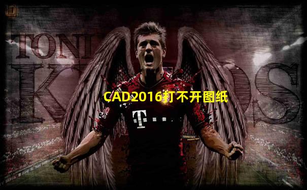 CAD2016打不开图纸