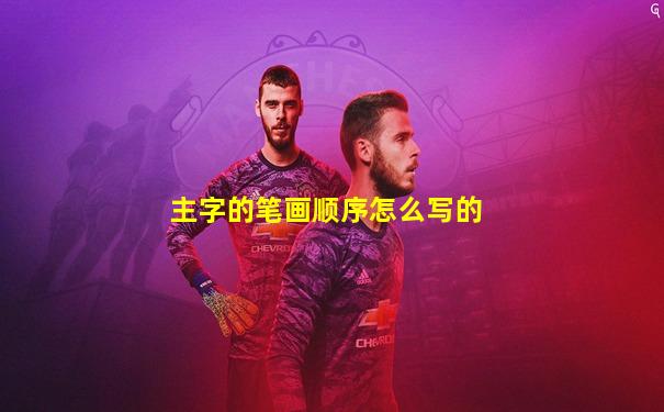 主字的笔画顺序怎么写的