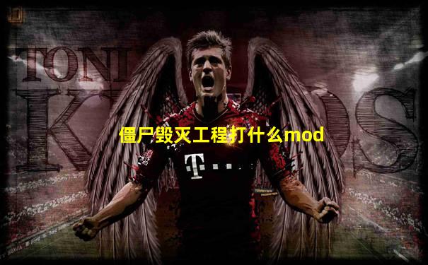 僵尸毁灭工程打什么mod
