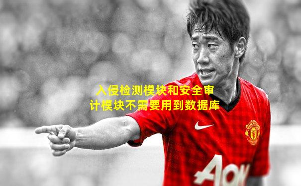 入侵检测模块和安全审计模块不需要用到数据库