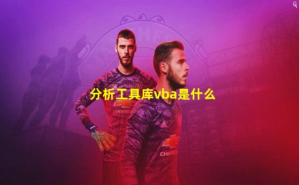 分析工具库vba是什么