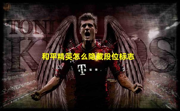 和平精英怎么隐藏段位标志