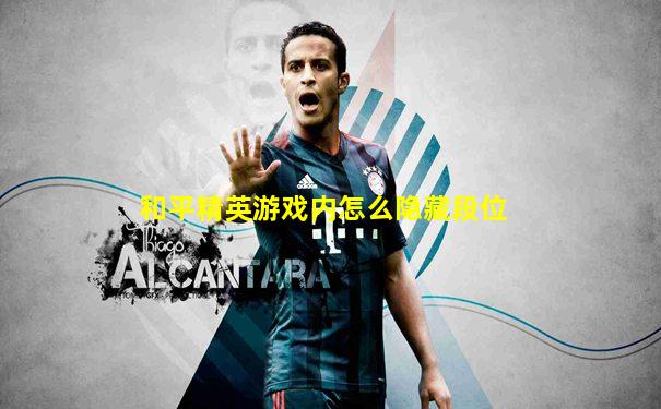 和平精英游戏内怎么隐藏段位