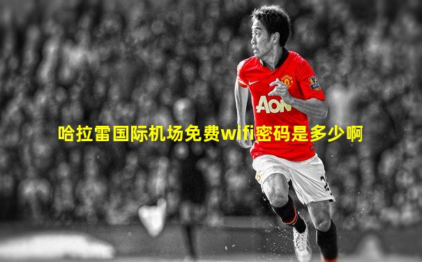 哈拉雷国际机场免费wifi密码是多少啊