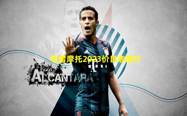 哈雷摩托2023价目表图片