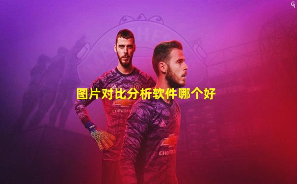 图片对比分析软件哪个好