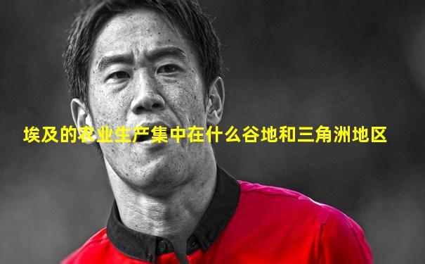 埃及的农业生产集中在什么谷地和三角洲地区