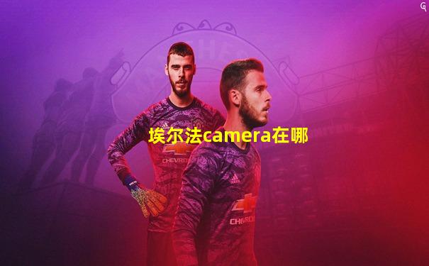 埃尔法camera在哪