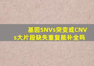 基因SNVs突变或CNVs大片段缺失重复能补全吗