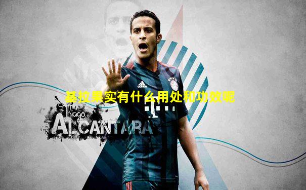 基拉果实有什么用处和功效呢