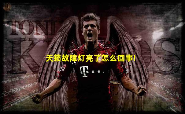 天籁故障灯亮了怎么回事!